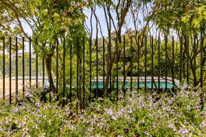 Less than 3MB 46 Polygon Rd15